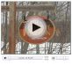 cc-mini-video-player